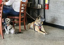 Breakfast 20250404 04