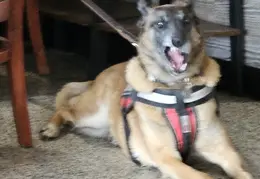 Breakfast 20250404 05