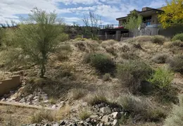 Brush Clearing 20250418 04