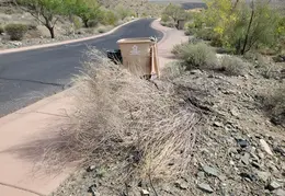 Brush Clearing 20250418 07