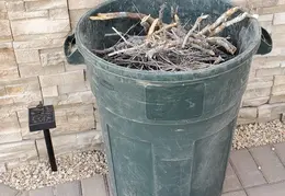 Brush Clearing 20250418 10