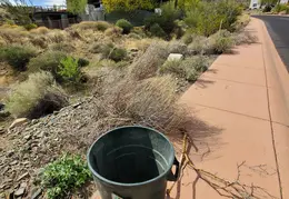 Brush Clearing 20250418 12