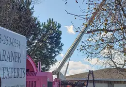 Bussells Tree Removal 20191214 03