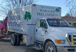 Bussells Tree Removal 20191214 08