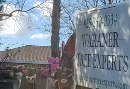 Bussells Tree Removal 20191214 13