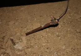 Earthquake Retrofitting 0043