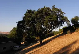 Fire Abatement 2009 003