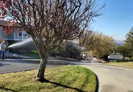 Fire Pumps and Hydrant 03