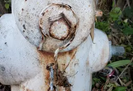 Fire Pumps and Hydrant 22