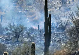 Fire on Borrego Trail 20230714 44