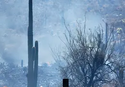 Fire on Borrego Trail 20230714 45
