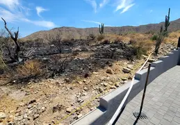 Fire on Borrego Trail 20230714 49