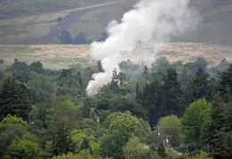 House Fire In Town 2010 0005