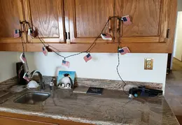 Neighborhood 4th of July Parade 2021 002