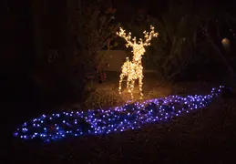 Neighborhood Christmas Lights 2021 013