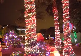 Neighborhood Christmas Lights 2021 021