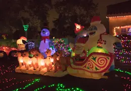 Neighborhood Christmas Lights 2021 022