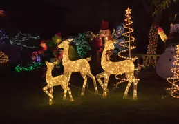 Neighborhood Christmas Lights 2021 029