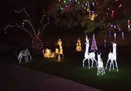 Neighborhood Christmas Lights 2021 035