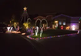 Neighborhood Christmas Lights 2021 036