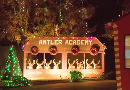 Neighborhood Christmas Lights 2021 040