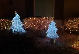 Neighborhood Christmas Lights 2022 03