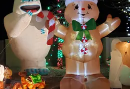 Neighborhood Christmas Lights 2022 28