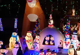 Neighborhood Christmas Lights 2022 30