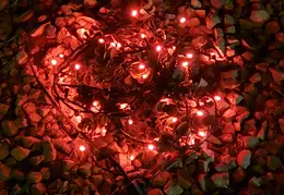 Neighborhood Christmas Lights 2022 48