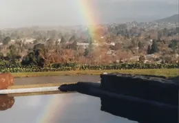 Rainbow Reflection In Pool