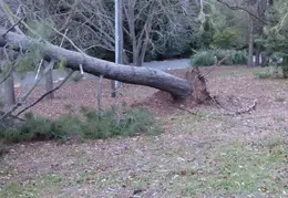 Power Outage 20141230 11