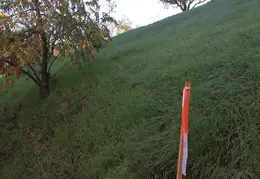 CR3 20161113 1