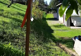 CR4 n Fence 20161113 05