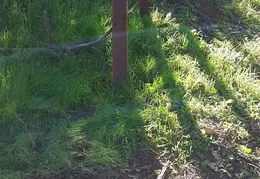 CR4 n Fence 20161113 06