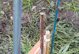 Fence 20170222 162310