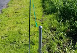 Fence 20170223 105419