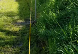 Fence 20170223 105449