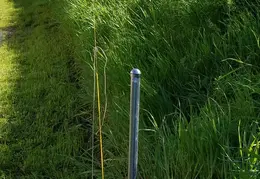 Fence 20170223 105610