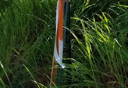 Fence 20170223 105631