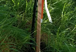 Fence 20170223 105704