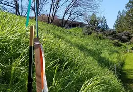 Fence 20170223 105718