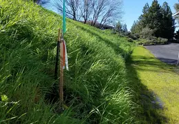 Fence 20170223 105736