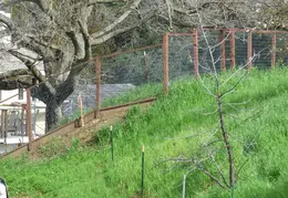 Fence 20170224 155701