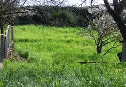 Fence 20170224 160200