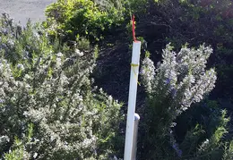 Fence 20170302 092014