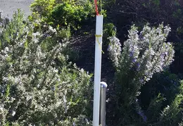 Fence 20170302 092046