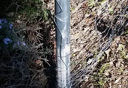 Fence 20170302 145536