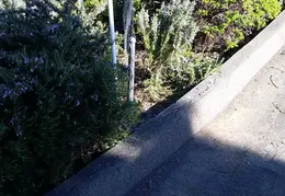 Fence 20170302 145557