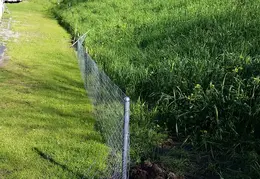 Fence 20170302 145723