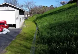 Fence 20170302 145800